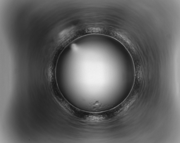 X0000097860455200803211257