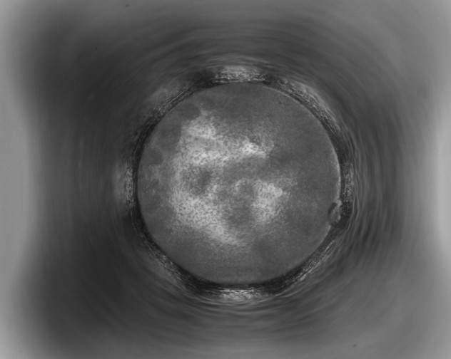 X0000097860457200803211257