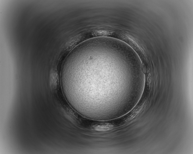 X0000097860459200803211258