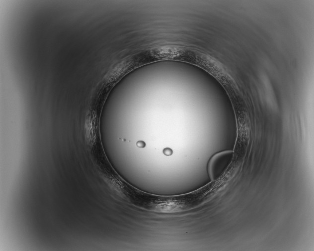 X0000097860460200803211258