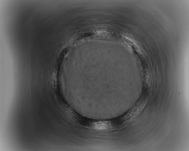 X0000097860461200803211258