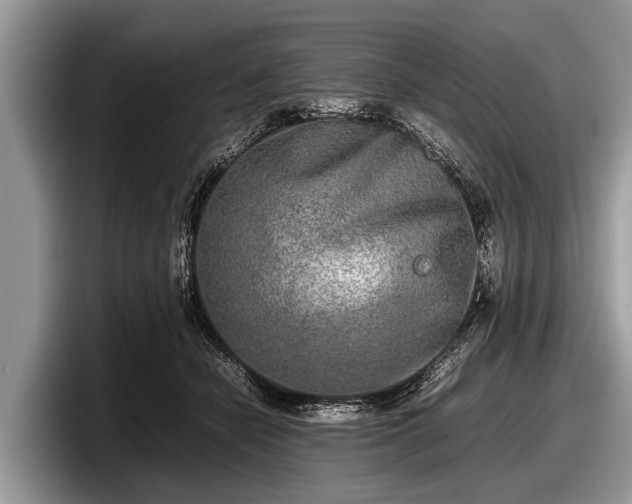 X0000097860462200803211258