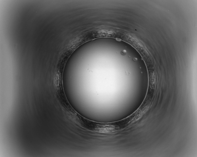 X0000097860463200803211258