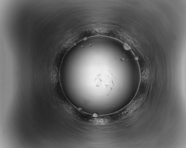 X0000097860464200803211258