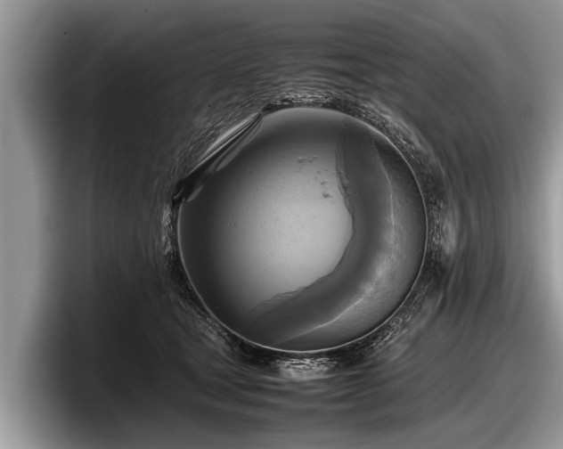 X0000097860465200803211258