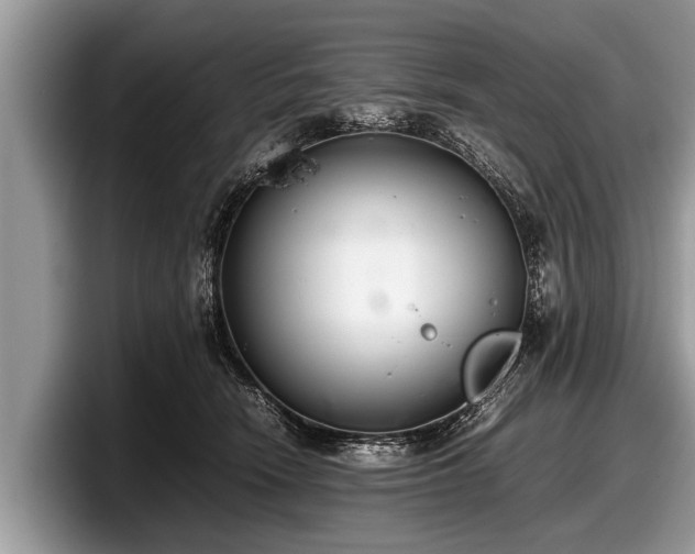 X0000097860466200803211258