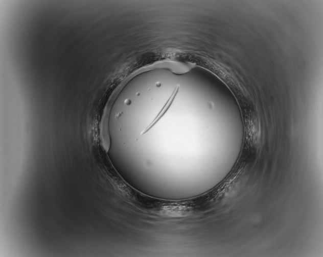 X0000097860470200803211258