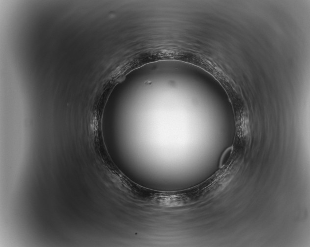 X0000097860472200803211258