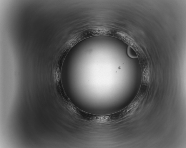 X0000097860474200803211258