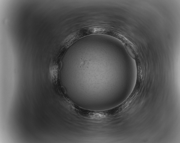 X0000097860475200803211258