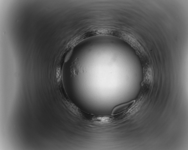 X0000097860478200803211258