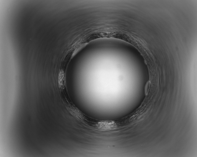 X0000097860480200803211258