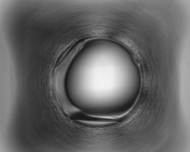 X0000097860481200803211257