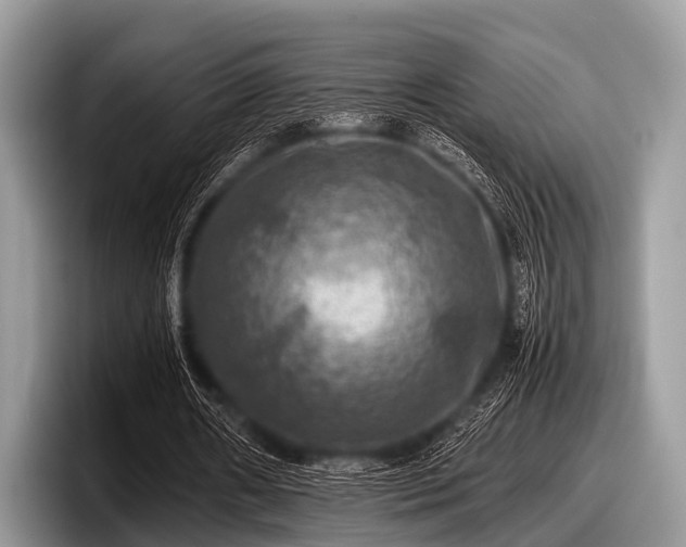 X0000097860482200803211257