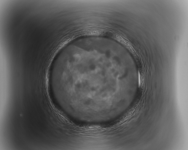 X0000097860483200803211257