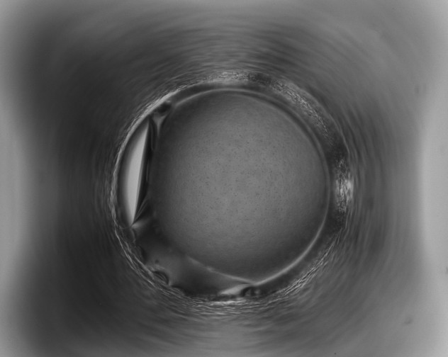 X0000097860484200803211257