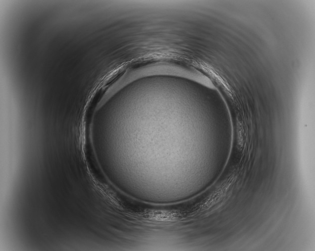 X0000097860486200803211257