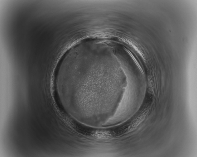 X0000097860487200803211257