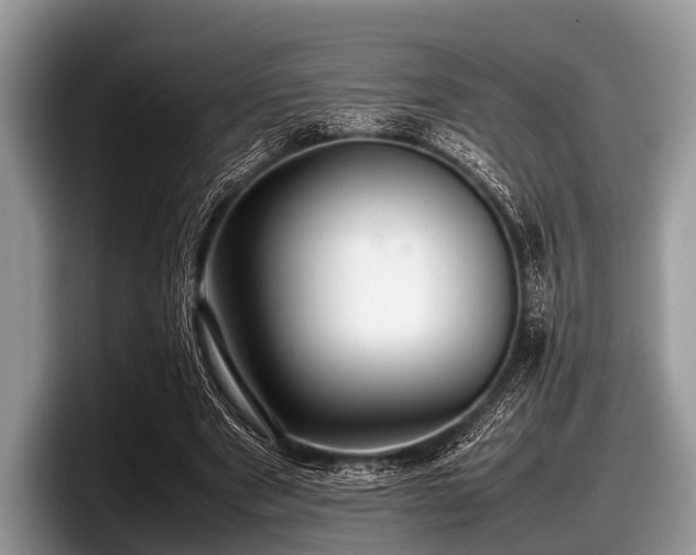 X0000097860489200803211257