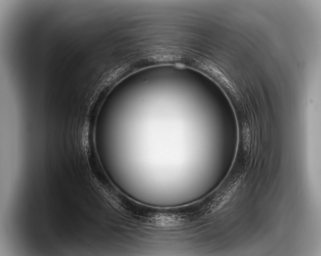 X0000097860490200803211257