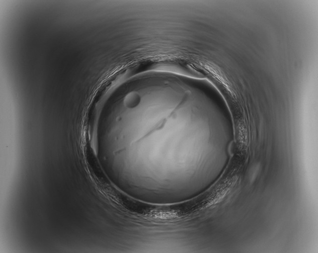 X0000097860491200803211257