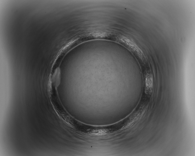 X0000097860492200803211257