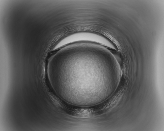 X0000097860493200803211257