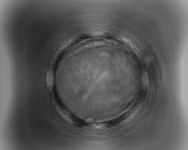 X0000097860495200803211257