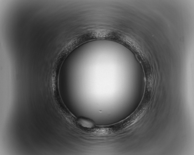 X0000097860497200803211257