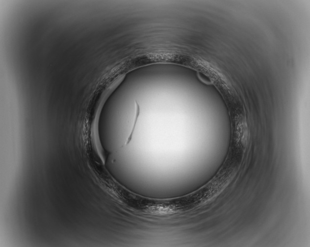 X0000097860498200803211257