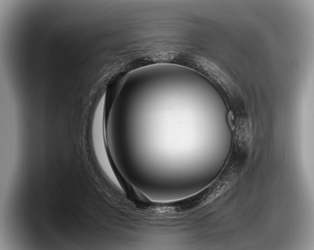 X0000097860501200803211257