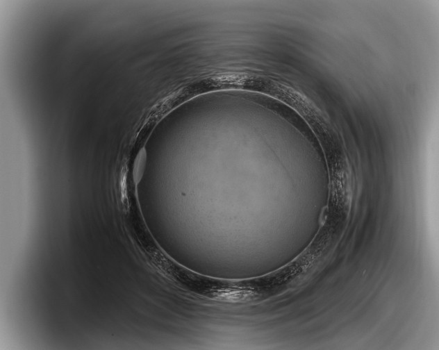 X0000097860504200803211257