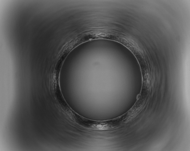 X0000097860506200803211257