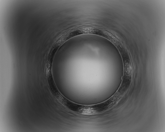 X0000097860507200803211257