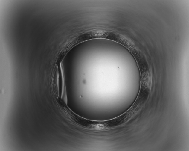 X0000097860509200803211257