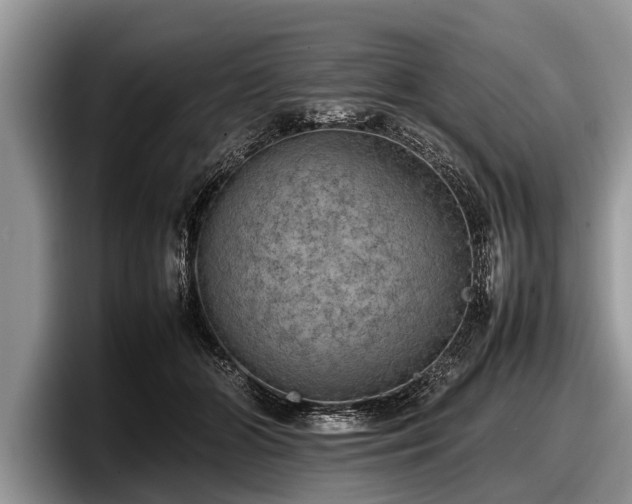 X0000097860510200803211257