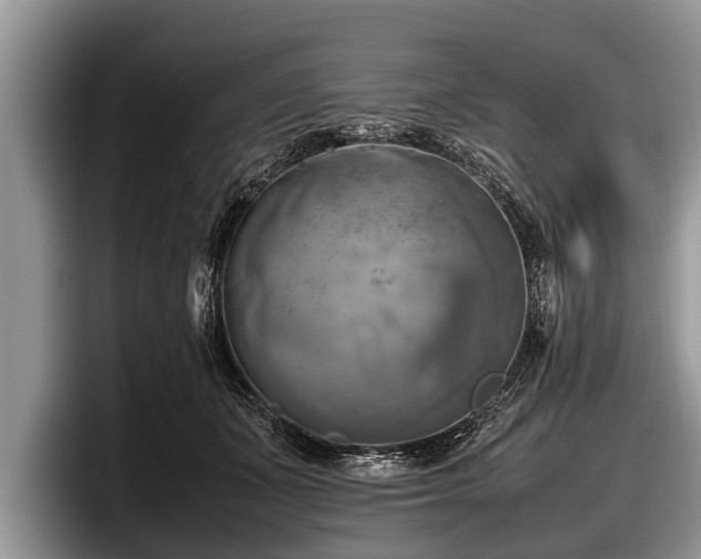 X0000097860511200803211257