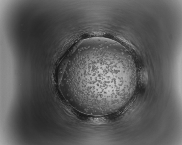 X0000097860517200803211257