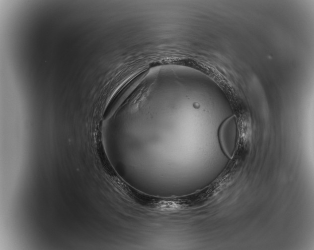 X0000097860519200803211257