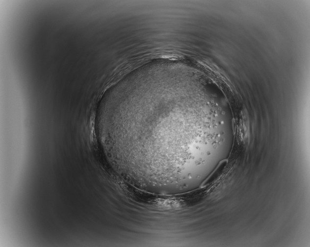 X0000097860520200803211257