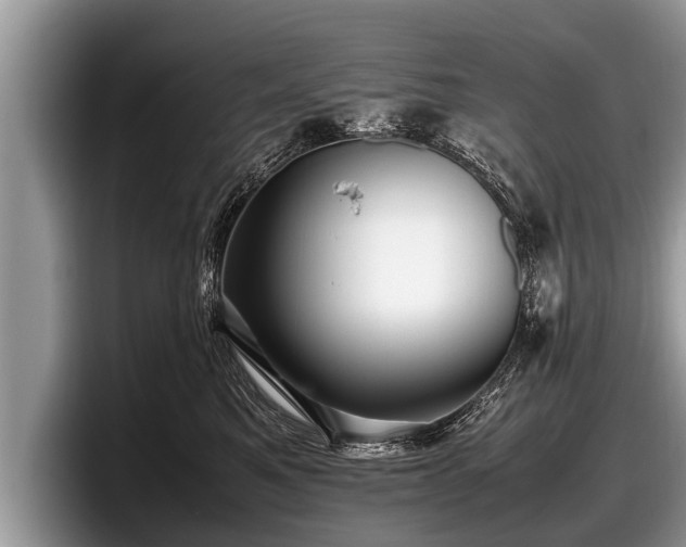 X0000097860521200803211257