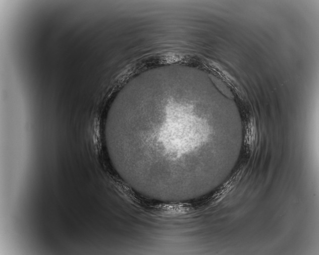 X0000097860524200803211257