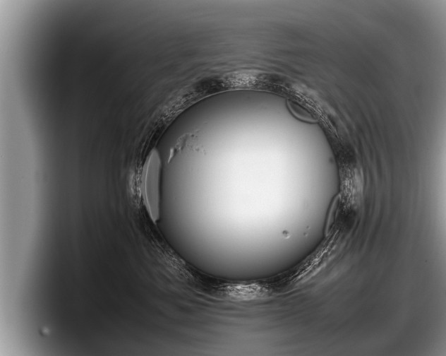 X0000097860525200803211257