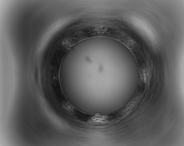 X0000097860526200803211257