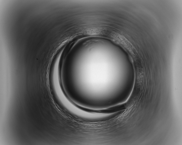 X0000097860530200803211256