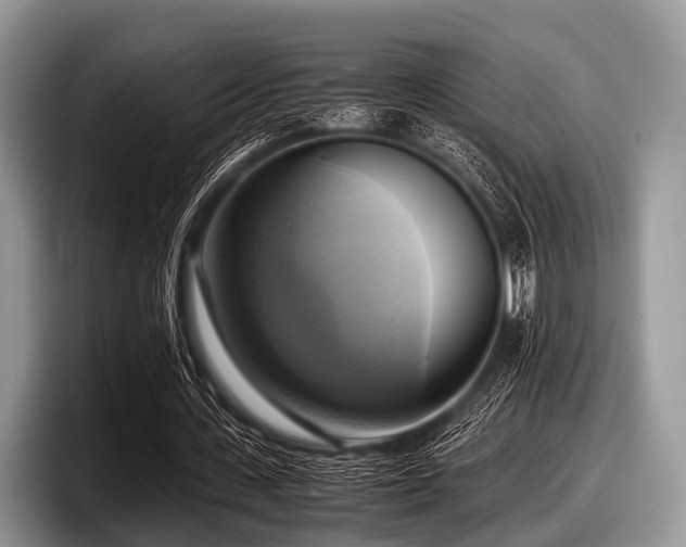 X0000097860531200803211256