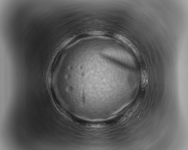 X0000097860533200803211256