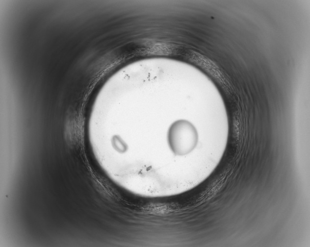 X0000097860534200803211256