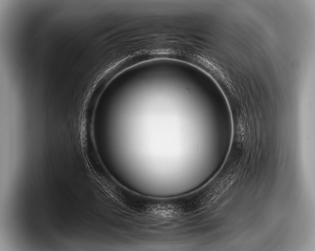 X0000097860535200803211256