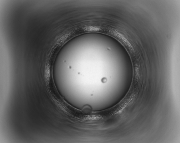 X0000097860541200803211256